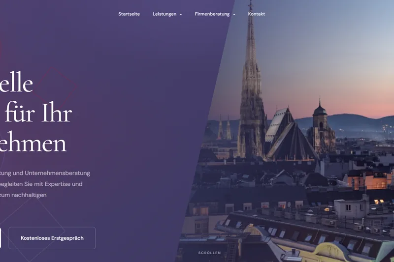 Screenshot der Website bilir-consulting.at